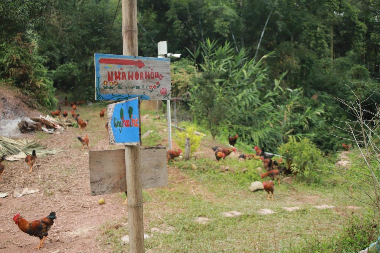 Hao Huc Village, Farm stay *