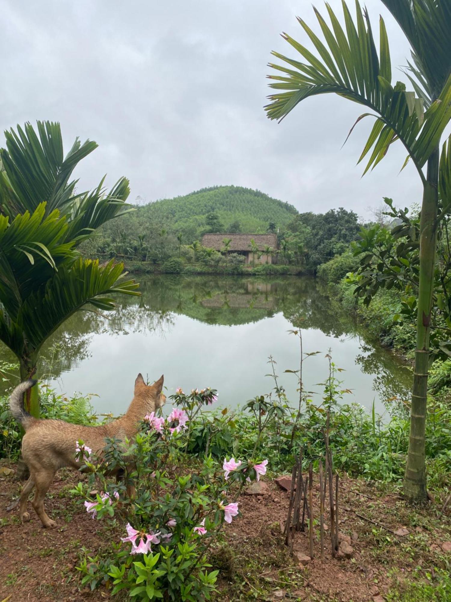 Hao Huc Village, Farm stay