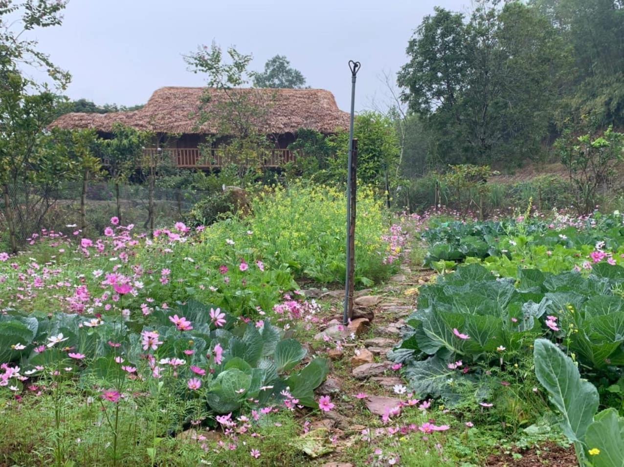 Farm stay Hao Huc Village, Thai Nguyen